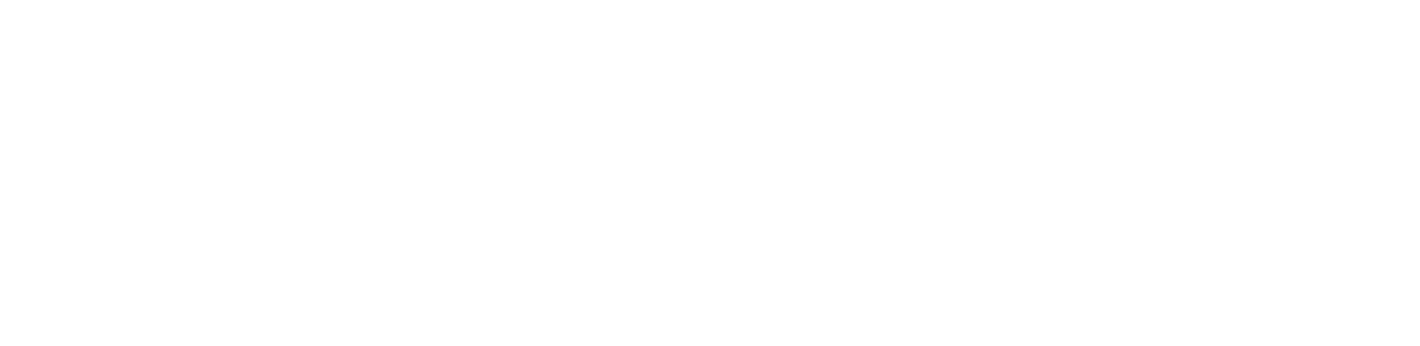 System Audio